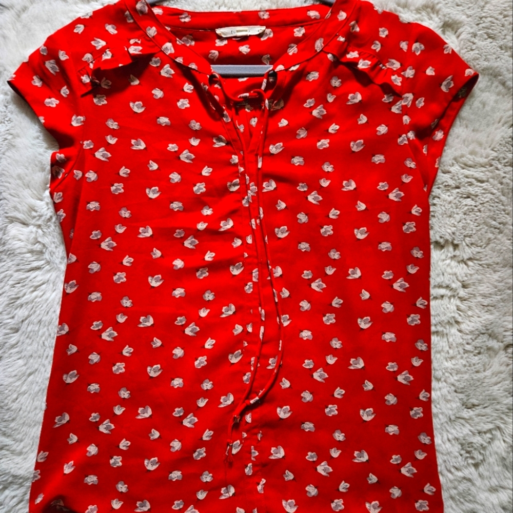 Red Floral Sheer Blouse